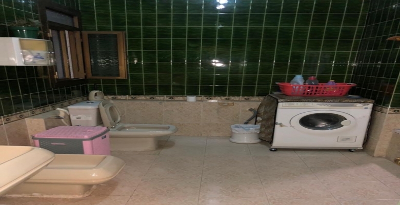 شقة مفروشه للايجار - الزمالك