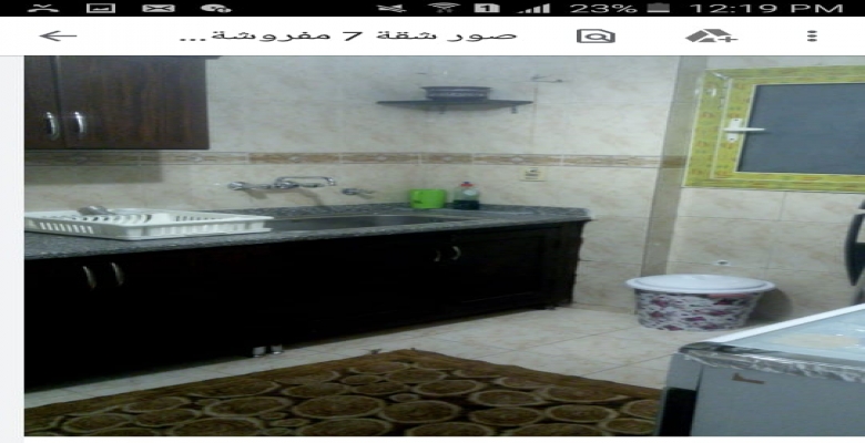 شقة مفروشه للايجار - الزمالك