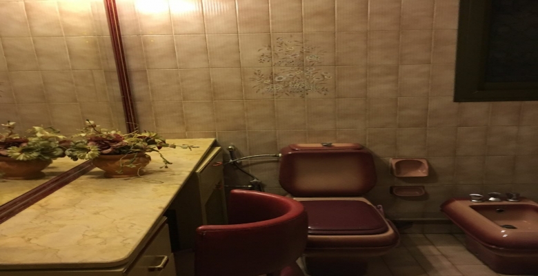 شقة مفروشه للايجار - الزمالك