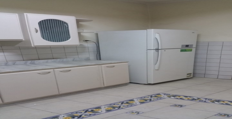 شقة مفروشه للايجار - الزمالك