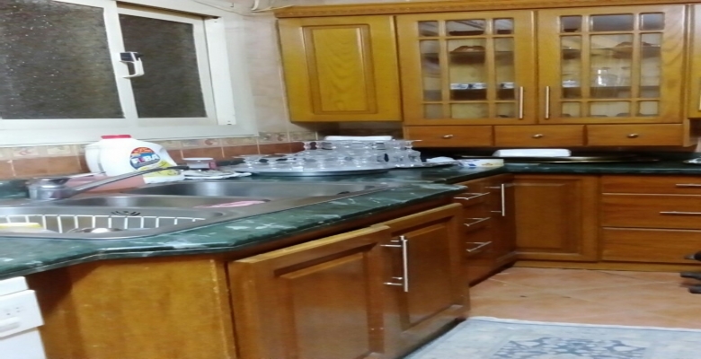 شقه مميزه للايجار في الدقي / Distinctive apartment for rent in Dokki