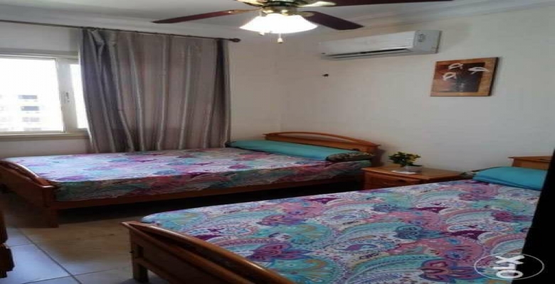 شاليه للايجار اليومي  بستلا هايتس