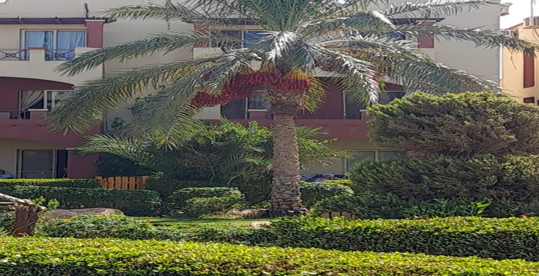 شاليه للبيع العين السخنة - قرية لاسيرينا