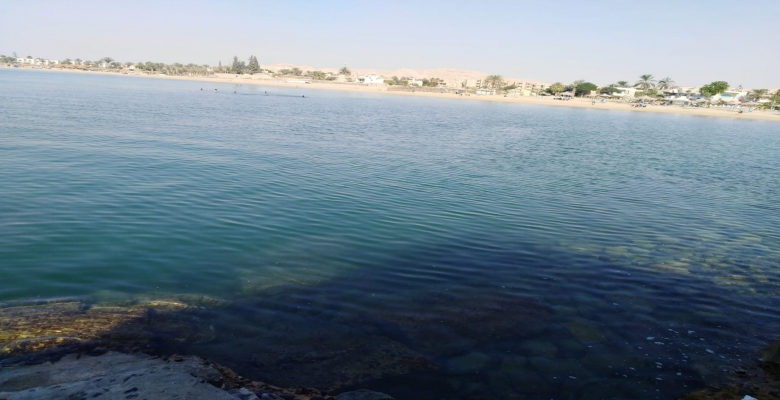 شالية مفروش للايجار - العين السخنة