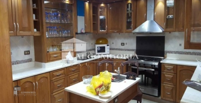 شقة مفروشة للإيجار - تطل على النيل - الزمالك