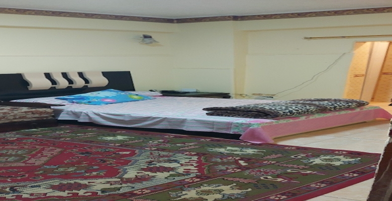 استوديو مفروشه للايجار - الزمالك