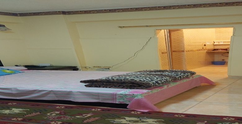 استوديو مفروشه للايجار - الزمالك