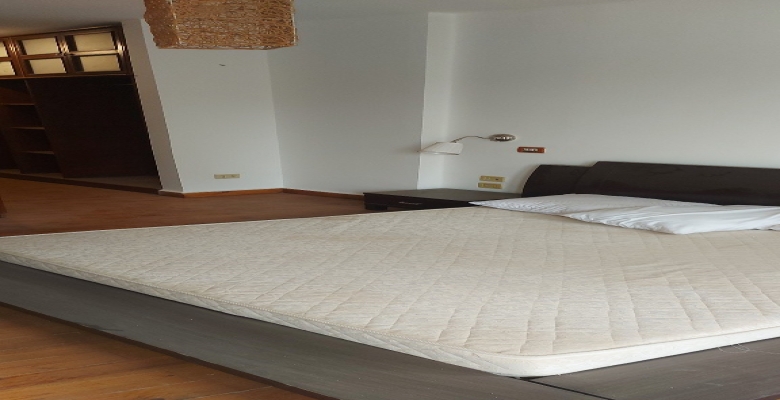 شقة مفروشه للايجار - الزمالك