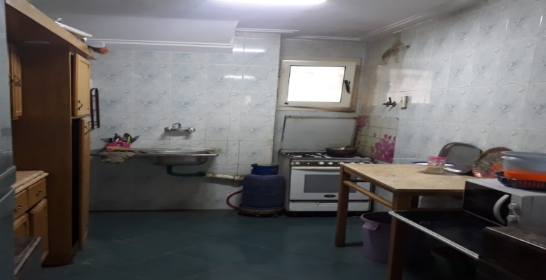 العين السخنة_الوادى