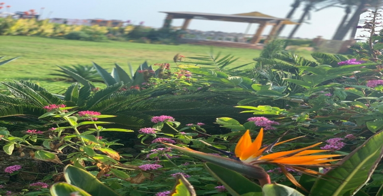 فيلا  للإيجار بالساحل الشمالي, سيدي عبد الرحمن