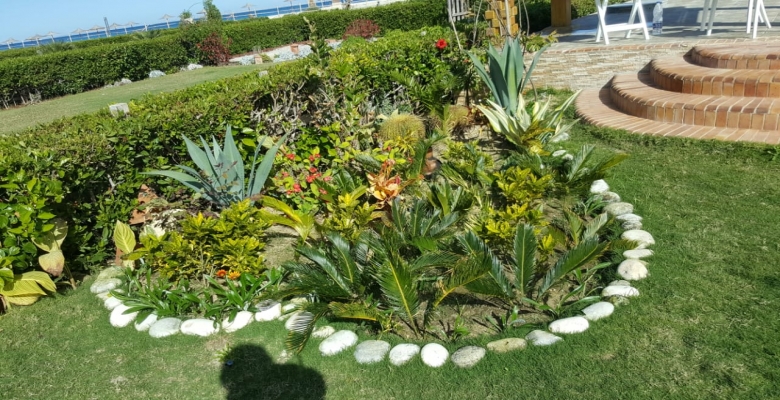 فيلا  للإيجار بالساحل الشمالي, سيدي عبد الرحمن