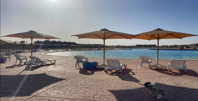 شالية للإيجار في قرية بلومار بالعين السخنة 3 غرف