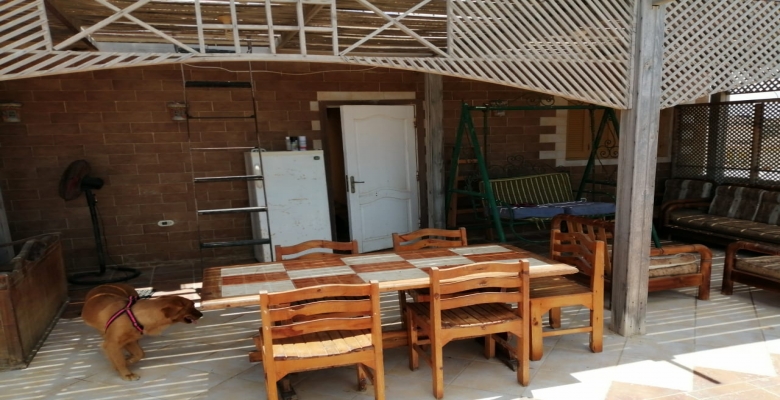 شالية بالساحل الشمالي قرية اللوتس