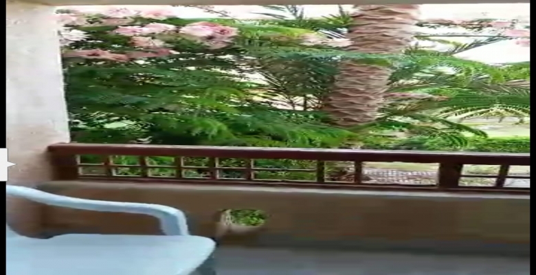 Apartment for rent 0.00 M2 in North Coast, Marina