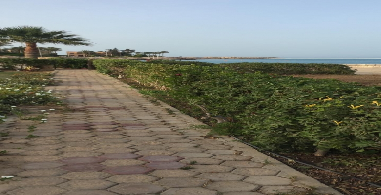 Furnished Chaleh for rent 0.00 M2 in North Coast, Marina