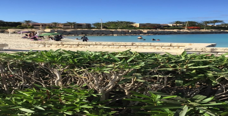Furnished Chaleh for rent 0.00 M2 in North Coast, Marina