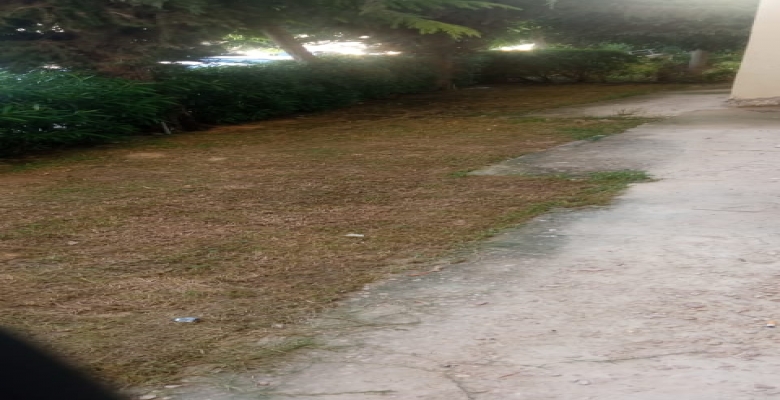 شاليه للايجار بالساحل الشمالى ستيلا - Chalet for rent in the North Coast Stella