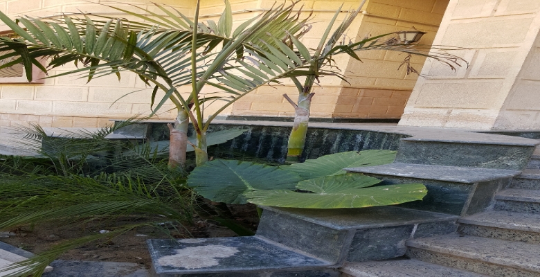 شقه للايجار بالتجمع الخامس