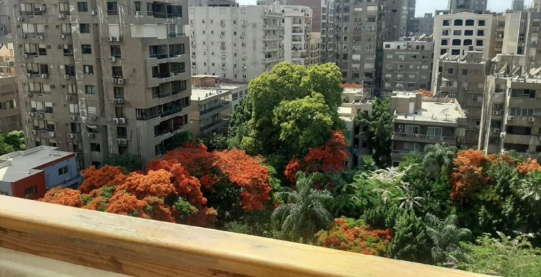 شقه للبيع او الايجار بالمهندسين - شارع طنطا / Apartment for sale or rent in Mohandeseen - Tanta Street