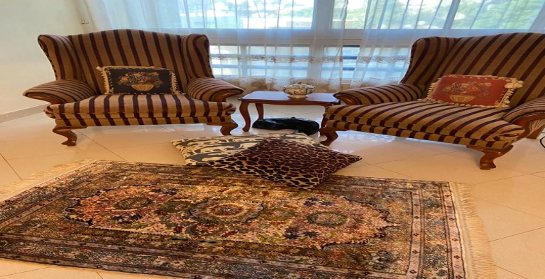 شقة للبيع بالفرش بالدقي - شارع السد العالي  /  apartment for sale in Dokki - Al-sadd Al-Aali st.