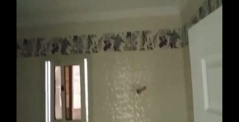 شقه ايجار اداري بالمهندسين / Office for rent in Mohandessin