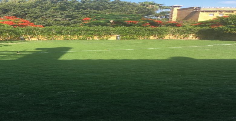 فيلا للايجار اليومى بالساحل الشمالى