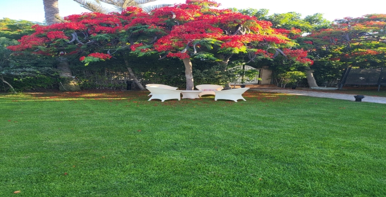 فيلا للبيع مارينا 6 الساحل الشمالي