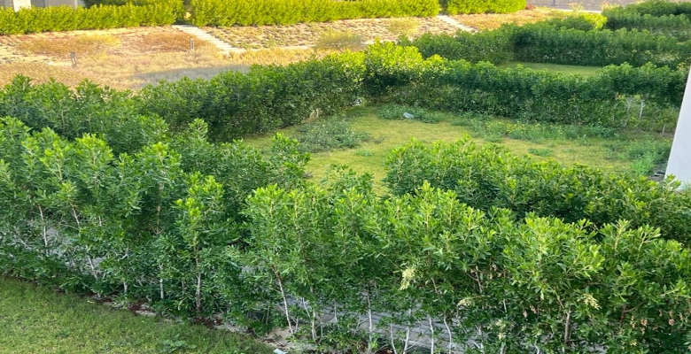 شاليه للايجار في الساحل الشمالي امواج - Chalet for rent in the North Coast Amwaj