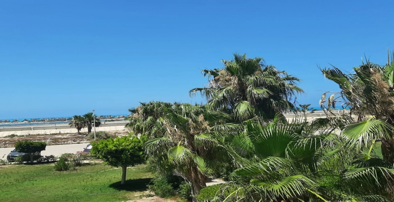 شاليه للايجار بمارينا الساحل الشمالي    Chalet for rent in North Coast Marina