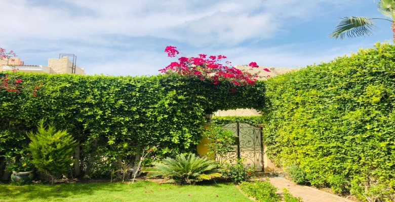 شاليه للإيجار في مارينا الساحل الشمالي 4 غرف