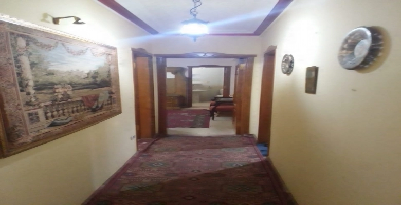 شقة للايجار في الزمالك / Apartment for rent in Zamalek