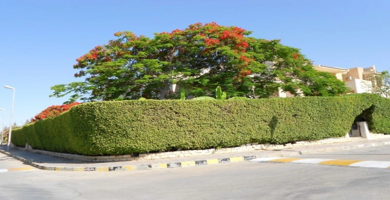 فيلا للايجار بالساحل الشمالي مارينا - Villa for rent in the North Coast  Marina