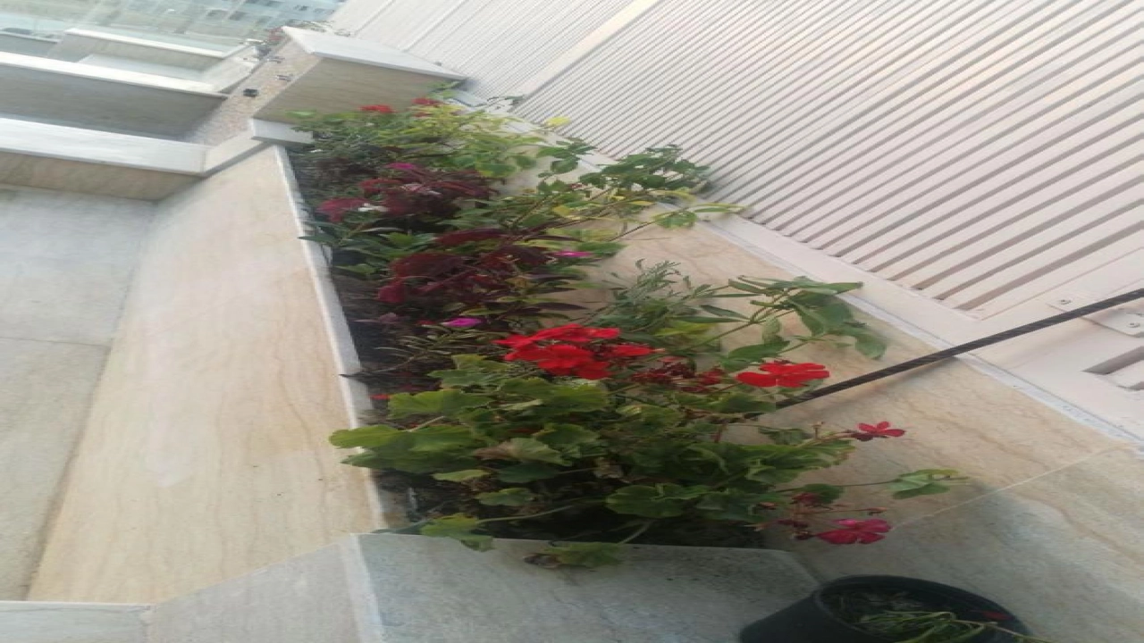 شالية للإيجار في قرية هاسيندا باي الساحل الشمالي 3 غرف نوم