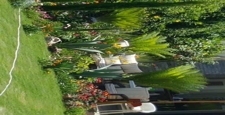 فيلا  للإيجار بالساحل الشمالي, سيدي عبد الرحمن