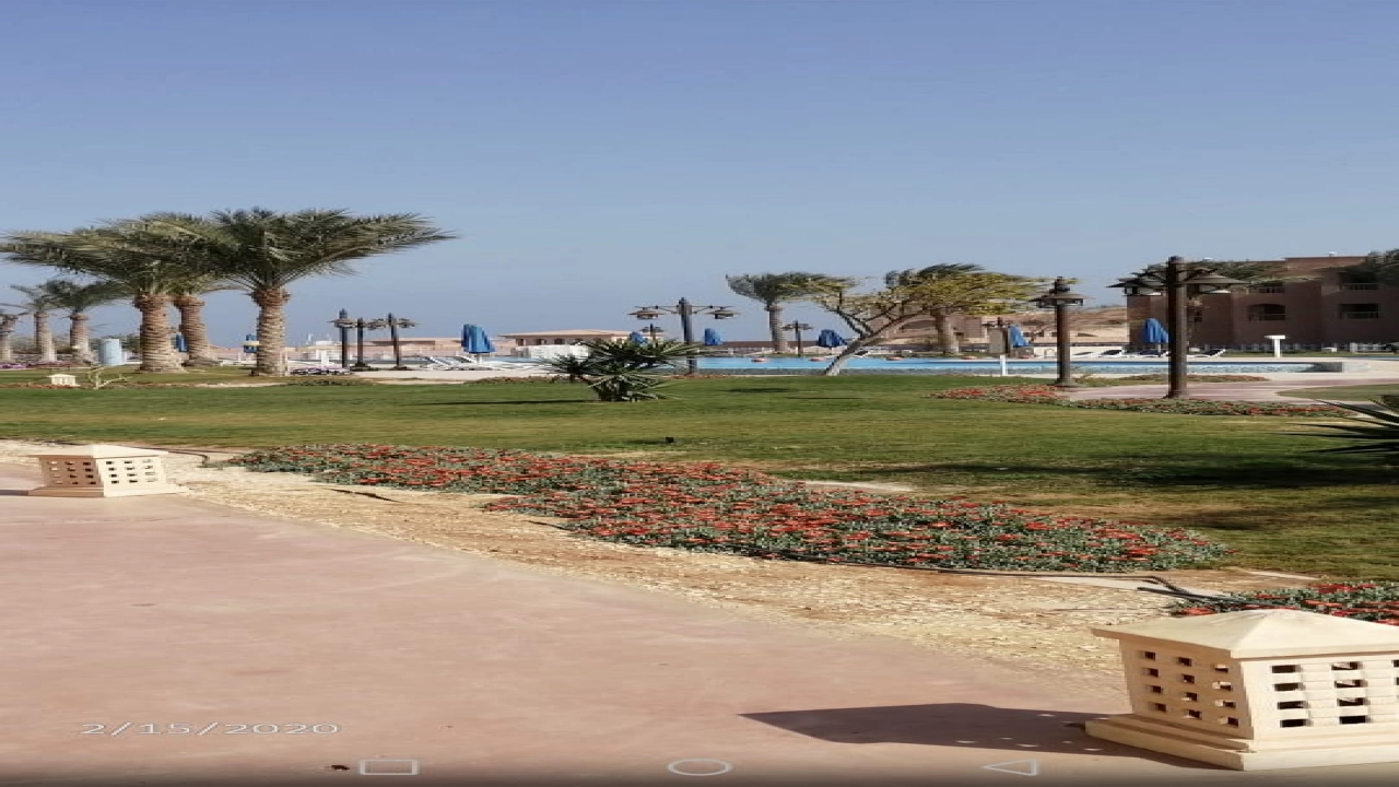 محل للايجار في المهندسين .Shop for rent in Mohandiseen