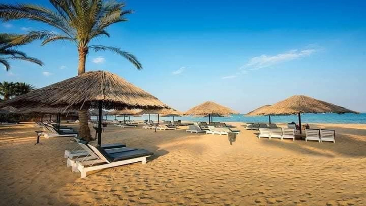 شالية لايجار في قريه بالمير العين السخنة